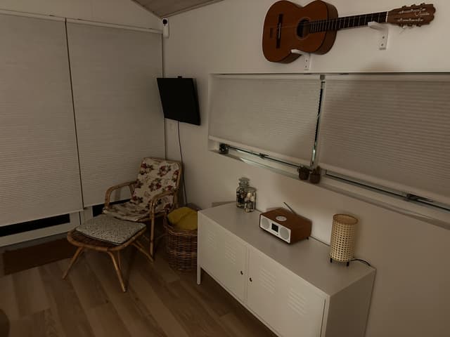 Cleaning - livingroom 1